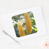 Golden Shrimp Plant Flowers Sticker (Envelop)