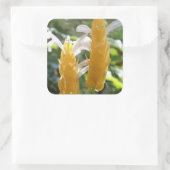 Golden Shrimp Plant Flowers Sticker (Tas)