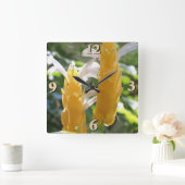Golden Shrimp Plant Flowers Vierkante Klok (Huis)