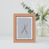 Golden Silk Orb-Weaver Briefkaart (Staand voorkant)