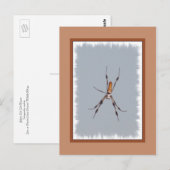 Golden Silk Orb-Weaver Briefkaart (Voorkant / Achterkant)