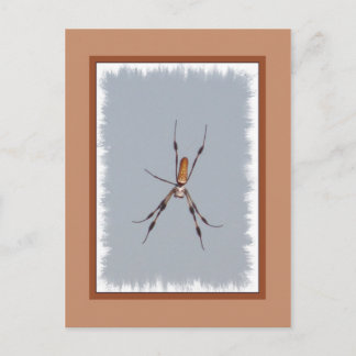 Golden Silk Orb-Weaver Briefkaart