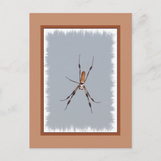 Golden Silk Orb-Weaver Briefkaart (Voorkant)