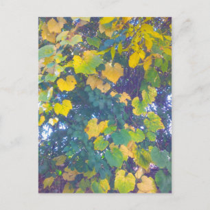 GOLDEN SLOT OP BRIEFKAART