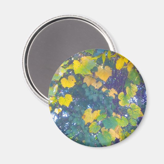 GOLDEN SLOT OP MAGNEET (Voorkant / Achterkant)