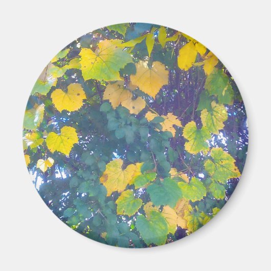 GOLDEN SLOT OP MAGNEET (Voorkant)