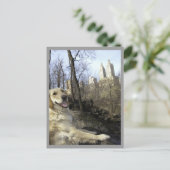 Golden Smile in the Central Park Ramble Briefkaart (Staand voorkant)