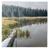 Golden Snow Tegeltje (Voorkant)