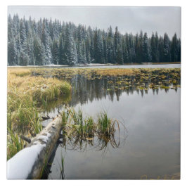 Golden Snow Tegeltje