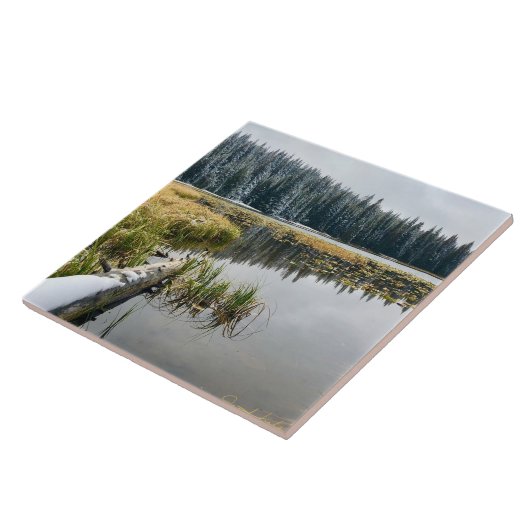 Golden Snow Tegeltje (Zijkant)