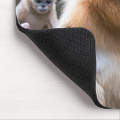 Golden Snub-nosed-aams Muismat (Hoek)