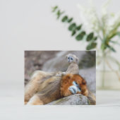 Golden Snub-nosed aap met Baby Briefkaart (Staand voorkant)