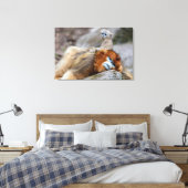 Golden Snub-nosed aap met Baby Canvas Afdruk (Insitu (Slaapkamer))