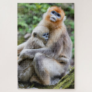 Golden Snub-Nosed aap met Baby Legpuzzel