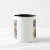 Golden Snub-nosed aap met Baby Mok (Midden)