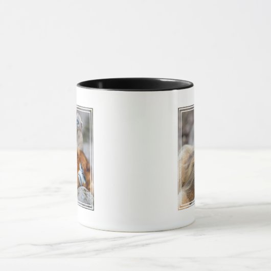 Golden Snub-nosed aap met Baby Mok (Midden)