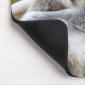 Golden Snub-Nosed aap met Baby Muismat (Hoek)