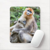 Golden Snub-Nosed aap met Baby Muismat (Met muis)