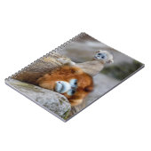 Golden Snub-nosed aap met Baby Notitieboek (Linkerzijde)