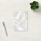 Golden Snub-Nosed aap met Baby Post-it® Notes (Kantoor)