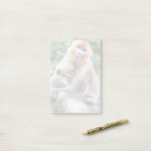 Golden Snub-Nosed aap met Baby Post-it® Notes (Op bureau)