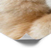 Golden Snub-nosed aap met Baby Poster (Hoek)