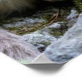 Golden Snub-Nosed aap met Baby Poster (Hoek)