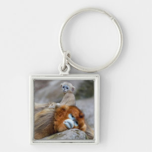Golden Snub-nosed aap met Baby Sleutelhanger