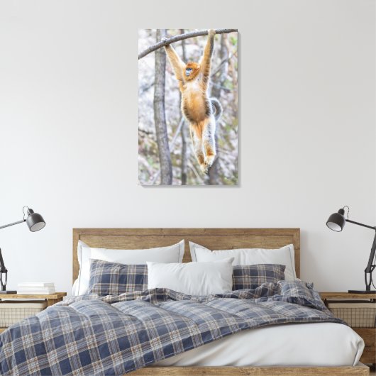 Golden Snub-nosed Monkey die op Branch zwaait Canvas Afdruk (Insitu (Slaapkamer))