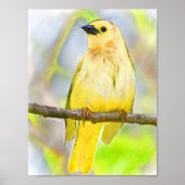 Golden Songbird Poster (Voorkant)