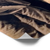 Golden Spike Transcontinental Railroad 1869 Poster (Hoek)