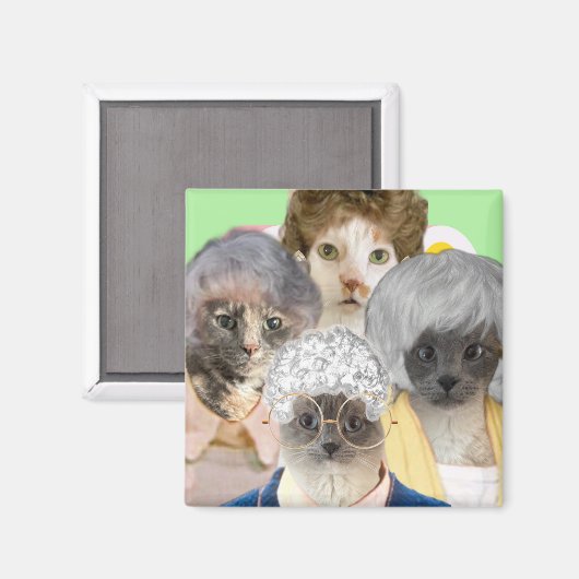 Golden Spint Magneet (Voorkant / Achterkant)