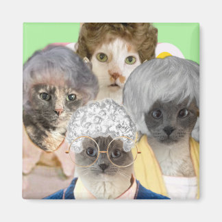 Golden Spint Magneet