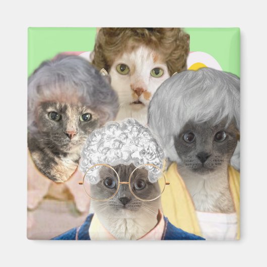 Golden Spint Magneet (Voorkant)