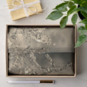 Golden Splash Tissuepapier (Geschenk)