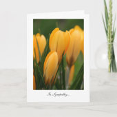 Golden Spring Crocuses - in sympathie Kaart (Voorkant)