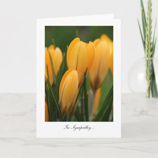 Golden Spring Crocuses - in sympathie Kaart (Voorkant)