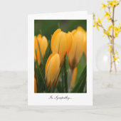 Golden Spring Crocuses - in sympathie Kaart (Gele Bloem)