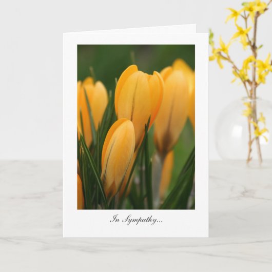 Golden Spring Crocuses - in sympathie Kaart (Gele Bloem)