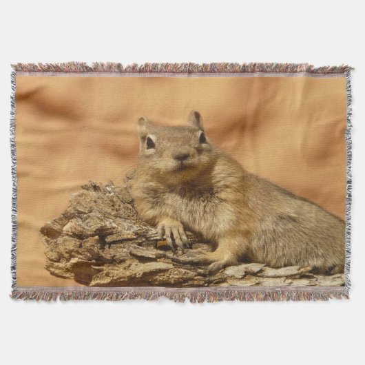 Golden Squirrel Deken (Voorkant)