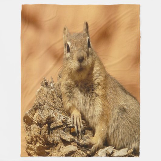 Golden Squirrel Fleece Deken (Voorkant)