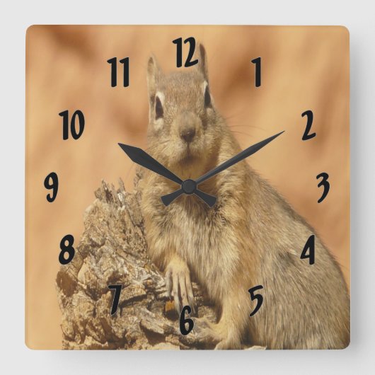 Golden Squirrel Vierkante Klok (Voorkant)