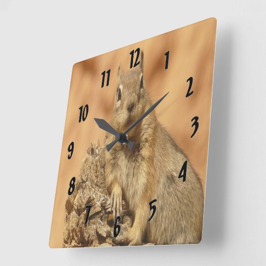 Golden Squirrel Vierkante Klok (Hoek)