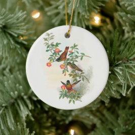 Golden Star-frontlet, boom Keramisch Ornament