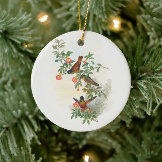 Golden Star-frontlet, boom Keramisch Ornament (Boom)