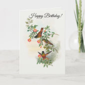 Golden Star-frontlet Kaart (Voorkant)