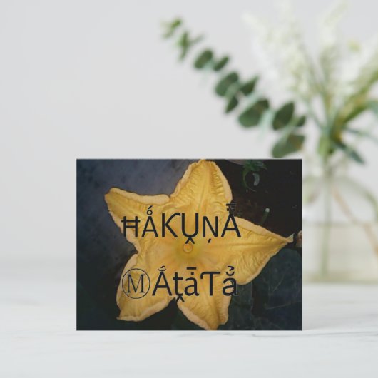 Golden Star Hakuna Matata Kunstdruk Briefkaart (Staand voorkant)
