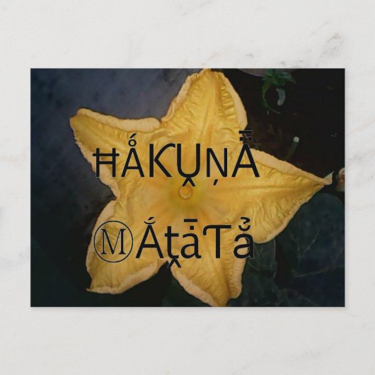 Golden Star Hakuna Matata Kunstdruk Briefkaart (Voorkant)