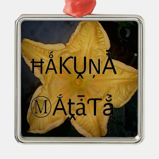 Golden Star Hakuna Matata Kunstdruk Metalen Ornament (Voorkant)