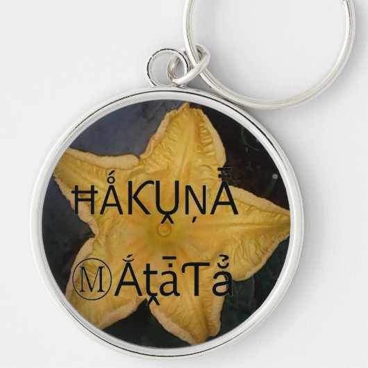 Golden Star Hakuna Matata Kunstdruk Sleutelhanger (Voorkant)